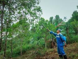 Distanpangan Sabang Ajak Petani Kurangi Penggunaan Pestisida Kimia