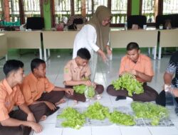 SLB Sabang Dorong Kemandirian Siswa Lewat Hidroponik