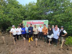 Wakil Wali Kota Langsa dan Forest For Life-Indonesia Tanam Manggrove