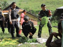 TNI-POLRI Borong Hasil Bumi di Puncak Jaya, Wujud Sinergi dan Peduli Ekonomi Rakyat