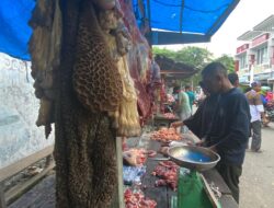 Penyembelihan Ternak Meugang Idul Adha di Sabang Menurun