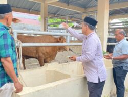 Distanpangan Sabang Sembelih Hewan Kurban dari Presiden Prabowo Subianto