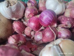 Bawang Putih dan Bawang Merah Alami Kenaikan di Aceh Tengah