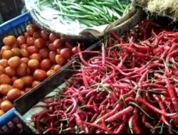 Harga Cabai dan Tomat Turun di Sabang