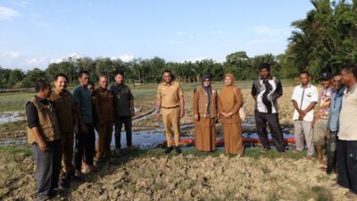 Respons Keluhan Petani, Wabup Nagan Raya Tinjau Kekeringan Sawah di Lhok Padang