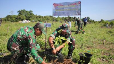 TMMD 124 Kodim 0101 KBA, Hijaukan Kota Jantho dengan Bibit Pohon Produktif