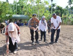 Penanaman Jagung Serentak Kuartal III di Lahan Perhutanan Sosial
