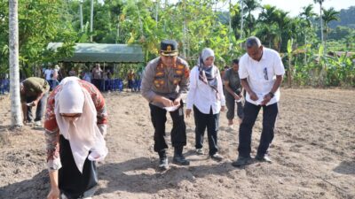 Penanaman Jagung Serentak Kuartal III di Lahan Perhutanan Sosial