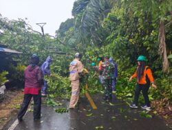 Cuaca Ekstrem, TNI, Polri, BPBD dan Warga Bersihkan Pohon Tumbang di Kuta Timu Sabang