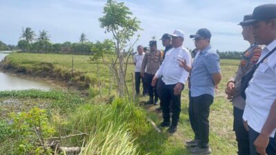 Cari Solusi Persoalan Pengairan, Bupati Aceh Besar Tinjau Sawah Blang Tamak Tungkop