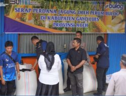 Dukung Ketahanan Pangan, Bulog Aceh Tenggara Beli Jagung Hasil Panen Lokal