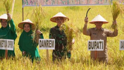 Dorong Peningkatan Produksi Pangan Daerah, Danrem Teuku Umar Panen Raya Padi di Abdya