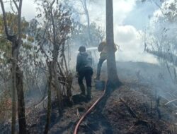 Dua Hektar Lahan di Lembah Seulawah Terbakar, Damkar BPBD Aceh Besar Diterjunkan ke Lokasi
