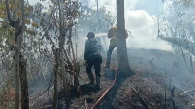 Dua Hektar Lahan di Lembah Seulawah Terbakar, Damkar BPBD Aceh Besar Diterjunkan ke Lokasi