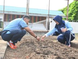 Dukung Ketahanan Pangan, Lanud MUS Sabang Panen Sayuran Segar