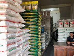 Musim Panen, Harga Beras di Aceh Besar Turun