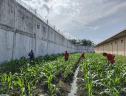 Program Akselerasi Kemenimipas, Kalapas Meulaboh: Semua Lahan Kosong Diubah Menjadi Area Produktif