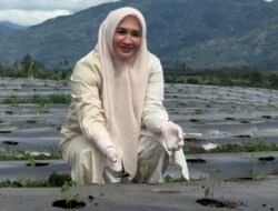 Ketua TP-PKK Aceh Kunjungi Kebun Cabai di Aceh Tengah