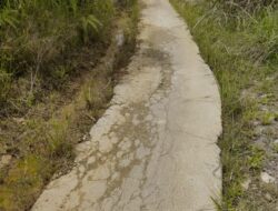 Pembangunan Rabat Beton di Cane Baru Gayo Lues Dituding Dikerjakan Asal Jadi