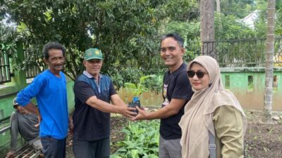 Distanpangan Sabang Salurkan Bantuan Bibit Pisang Barangan