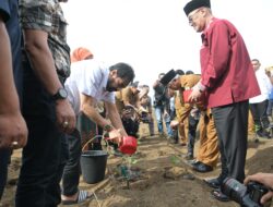 Gubernur Mualem Dukung Petani Cabai dan Nilam untuk Kendalikan Inflasi dan Tingkatkan Ekonomi