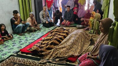 Pasangan Suami Istri Warga Nagan Raya Meninggal Dunia Tersengat Listrik Saat Panen Buah Kuini
