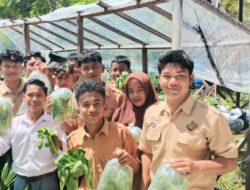 Siswa SMKN 1 Peureulak Panen Sayur Hidroponik Hasil Project Pembelajaran