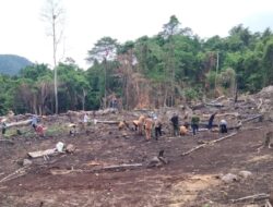 Distanpangan Sabang Lakukan Penanaman Padi Gogo Bersama Petani Jaboi