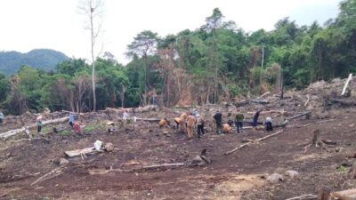 Distanpangan Sabang Lakukan Penanaman Padi Gogo Bersama Petani Jaboi