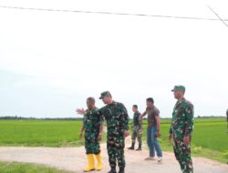 Kerjasama dengan Dinas Pertanian, Kodam IM Optimasi Lahan Pertanian Tiga Kabupaten di Aceh