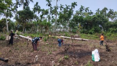 Dukung Ketahanan Pangan, 62 Petani Sabang Tanam Padi Gogo