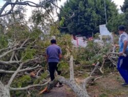 BPBD Sabang Tangani 10 Kejadian Bencana Selama Oktober