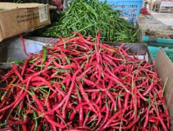 Harga Cabai dan Bawang di Sabang Mulai Turun