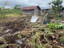 Amukan Gajah Liar Resahkan Warga Bener Meriah, Tim Gabungan Turun ke Lokasi