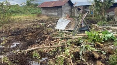 Amukan Gajah Liar Resahkan Warga Bener Meriah, Tim Gabungan Turun ke Lokasi