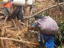 Keterisolasian Ribuan Warga Pining Menanti Perhatian Pemerintah Membuka Jalan Prioritas Utama
