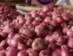 Harga Bawang Merah di Singkil Melonjak Hingga Rp 48.000 Per Kilogram