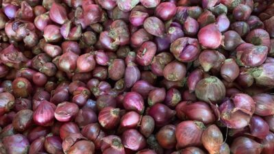 Harga Bumbu Dapur dan Sayuran di Sabang Stabil