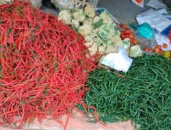 Harga Cabai dan Tomat Turun di Sabang
