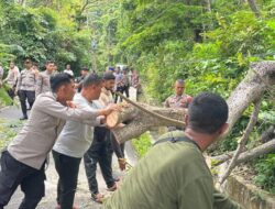 Kapolres Sabang Turun Langsung Pembersihan Pohon Tumbang di Jalan Tanjakan Gapang