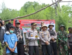 Polres Aceh Besar Musnahkan Ladang Ganja di Pegunungan Gampong Panca Lembah Seulawah