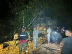 Sinergi TNI–Polri dan Masyarakat, Gagalkan Ilegal Logging di Hutan Lindung Lamtamot