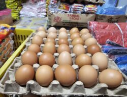 Pasokan Lancar, Harga Telur Ayam di Sabang Turun