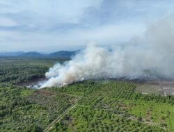 Titik Api Karhutla di Kecamatan Bakongan Aceh Selatan, Pemadaman Terkendala Air