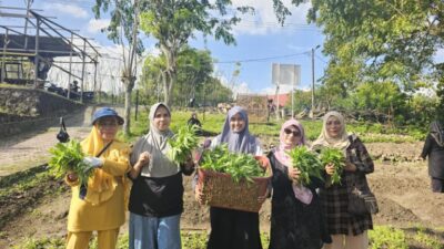 TP PKK Ie Meulee Sabang Optimalkan Lahan Perkuat Ketahanan Pangan