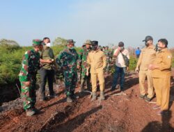 Wabup Aceh Barat bersama Danrem 012/TU dan Dandim 015/Abar Tinjau Karhutla di Suak Raya