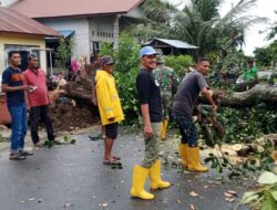 Angin Kencang Dan Kebakaran Menjadi Ancaman Rutin di Sabang