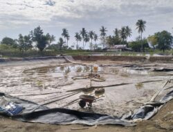 1.756 Hektare Tambak di Pijay Rusak Akibat Bencana Alam Hidrometeorologi