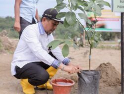 Pidie Jaya Perkuat Ekosistem Lewat Penanaman 300 Pohon di Gampong Seunong