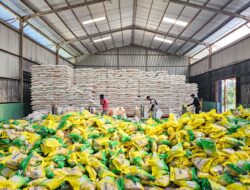 Jelang Ramadan dan Idul Fitri, Stok Beras di Sabang Aman